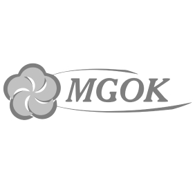 logo mgok
